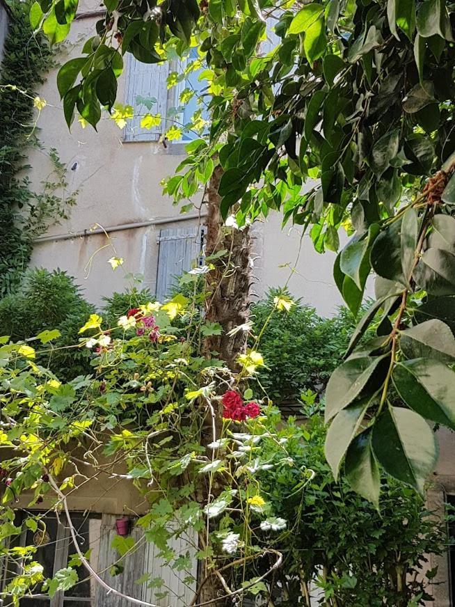 Chambre D'Hote La Passerelle Mazamet Buitenkant foto